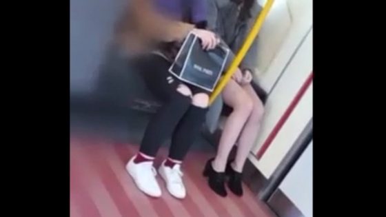 【盗撮動画】「このレベルの美女の白Pはありがたすぎる！」パンチラマニアを唸らせた電車内対面パンチラ