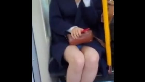【盗撮動画】電車内の美女「ねぇ？向かいの人私の事盗撮してない？」→ パンチラ盗撮がバレた結果・・・