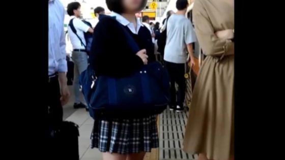 【盗撮動画】この小柄可愛い制服美少女が満員電車の中で変態にされていることがヤバすぎると話題